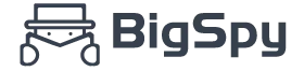 BigSpy logo