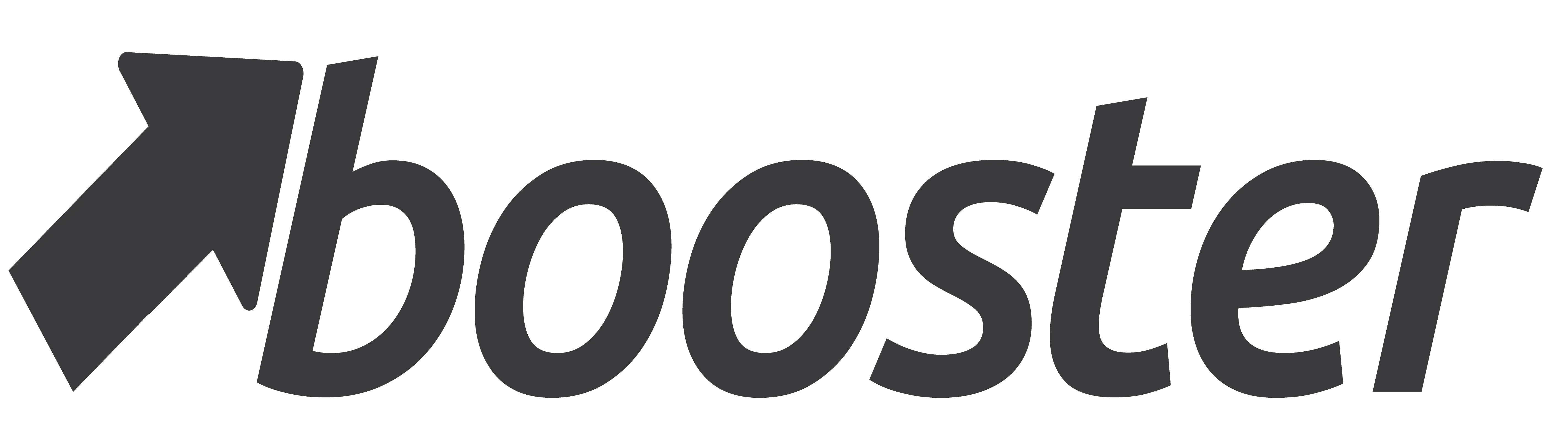 Booster Theme logo
