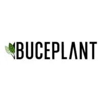 Buce Plant logo