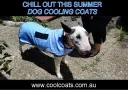 Cool Coats logo