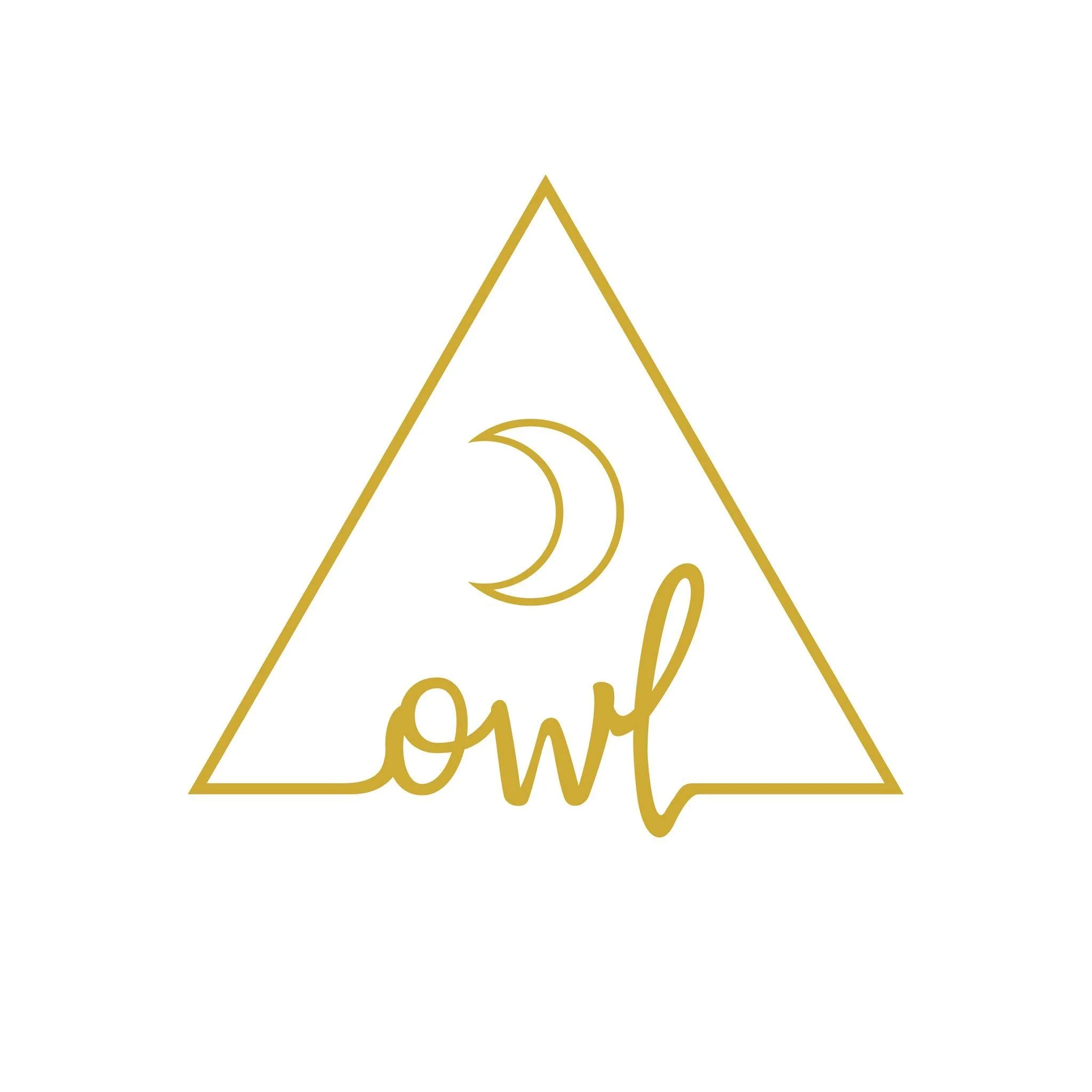 Owl Venice logo