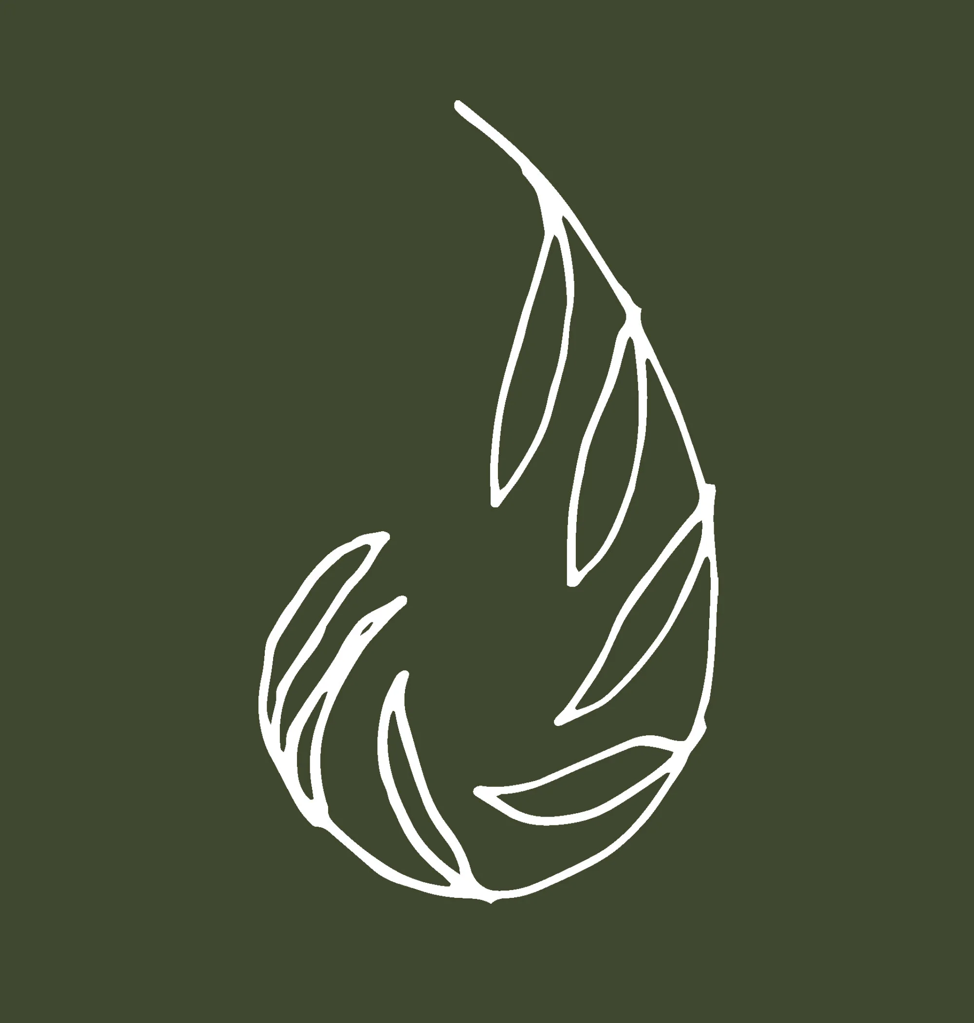 Rain Organica logo
